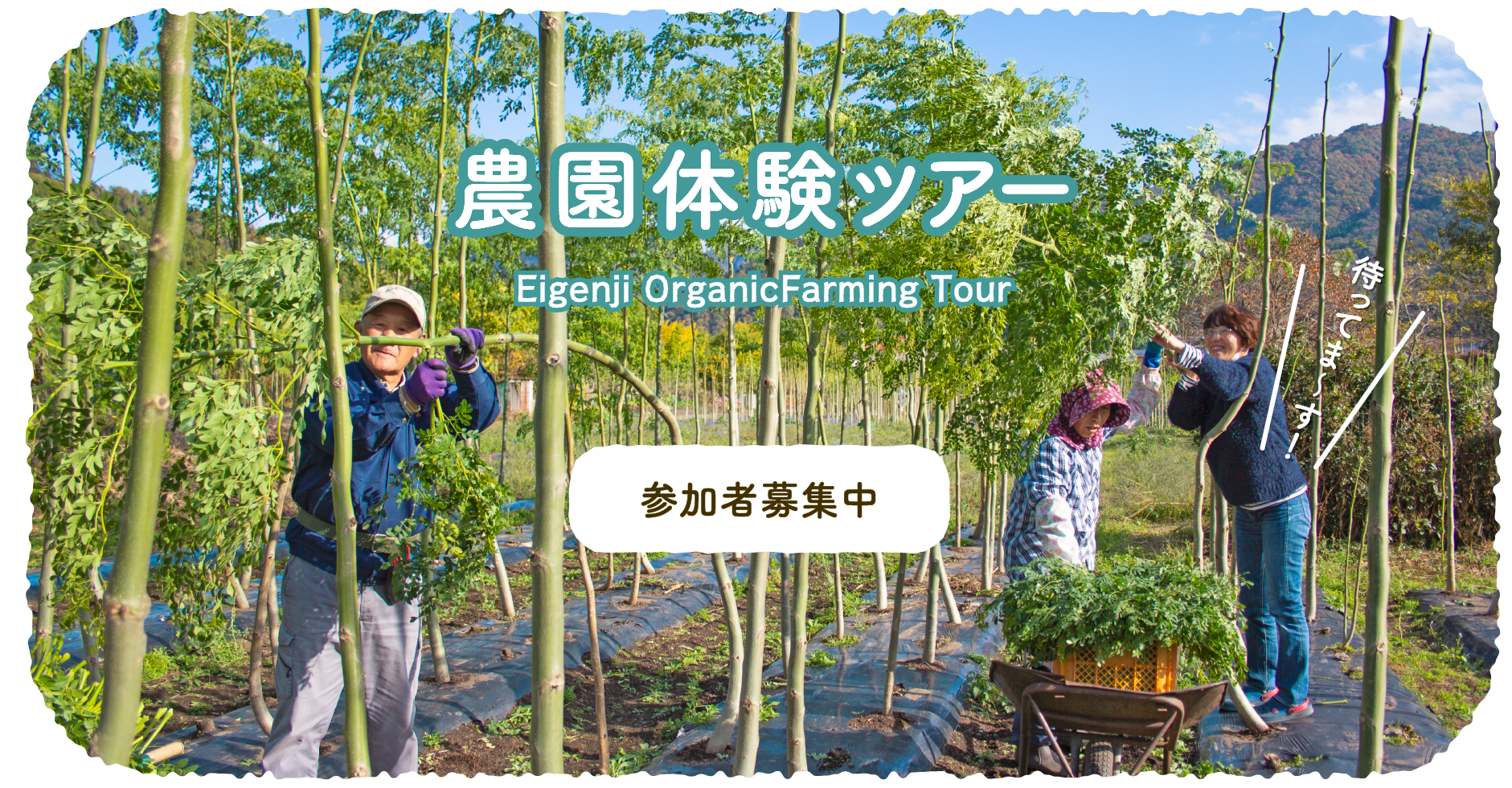 農業体験ツアー