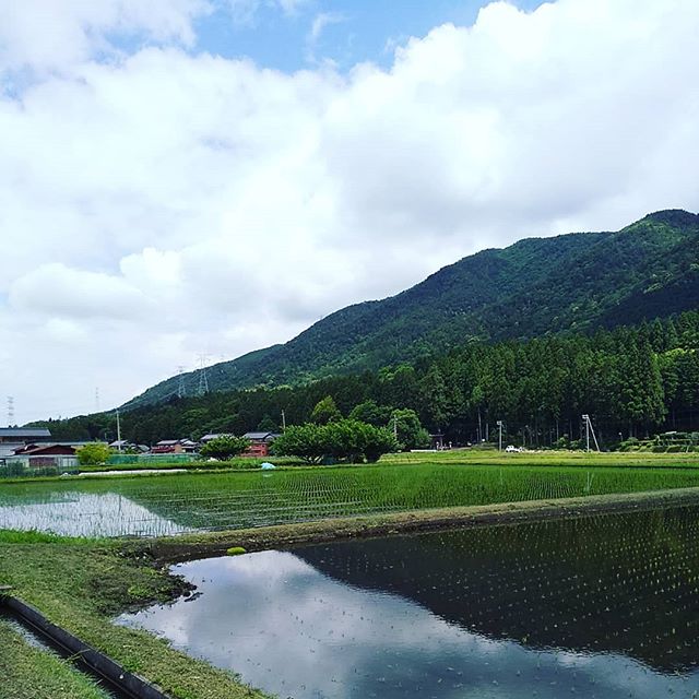 昨日は夏日でした️この里山の風景、100年前と変わらずな気がします#永源寺マルベリー#オーガニック#里山#風景